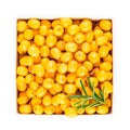 Branch of sea buckthorn berries with leaves. Clipping paths, shadow separated, infinite depth of field. Design elements. Royalty Free Stock Photo