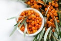Branch of sea buckthorn with oil on wooden texture background