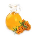 Branch of sea-buckthorn and oil