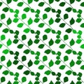 Branch seamless pattern. Green leaves