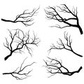 Branch Silhouettes Royalty Free Stock Photo