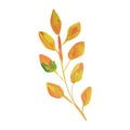 Branch with small leaves gouache watercolor autumn single isolated element