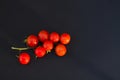 Branch of small red tomato on a black background. top view Royalty Free Stock Photo