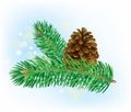 Branch of spruce with pine cone Royalty Free Stock Photo