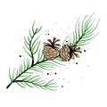 The branch of spruce and pine cones. Vector illustration. New year holiday Royalty Free Stock Photo
