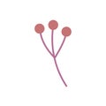 Branch stem berry botanical icon