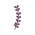 Branch stem berry botanical icon