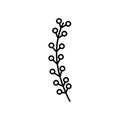 Branch stem berry botanical icon thick line