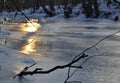 Branch and sun reflections on frozen river Royalty Free Stock Photo