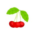 A branch with three cherries. On a white background, isolated. Illustration in vector format Royalty Free Stock Photo