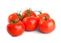 Branch of tomato isolated over a white background Royalty Free Stock Photo