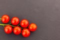 Branch tomato red mini cherry fresh tasty harvest copy space base Royalty Free Stock Photo