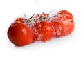 Branch of tomato under pouring water Royalty Free Stock Photo