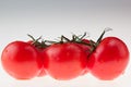 Branch tomato on a white background. Macro. Texture. Gradient.