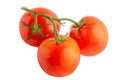 Branch of tomatoes isolated on a white background, full depth of field, no shadow, poison for design