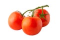 Branch of tomatoes isolated on a white background, full depth of field, no shadow, poison for design