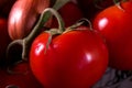 Branch tomatoes to make a poster to decorate the kitchen Royalty Free Stock Photo