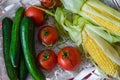 Branch of tomatoes, two cobs of sweet corn and fresh cucumbers