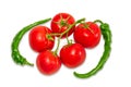 Branch of tomatoes and two green peppers chili Royalty Free Stock Photo