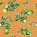 Branch of tree and single guava fruit watercolor seamless pattern isolated on orange background. Green leaves, flowers Royalty Free Stock Photo