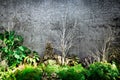 Branch trees plants and wall gardening textures background Royalty Free Stock Photo