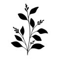 Branch vector floral element. Simple black tree with berry and leaves. Hand drawn plant. Royalty Free Stock Photo