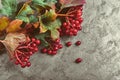 Branch viburnum with green leaves on concrete