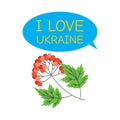 Branch with viburnum. Text I love Ukraine. Ukrainian symbols