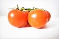 Branch of vine tomatoes on the white background