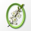 Branch of white cherry flowers in green frame Royalty Free Stock Photo