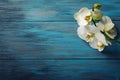 Branch of white Orchid on the blue wooden background Royalty Free Stock Photo