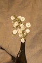 A branch of white small roses in the bottle on a background of natural linen Royalty Free Stock Photo