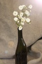 A branch of white small roses in the bottle on a background of natural linen Royalty Free Stock Photo