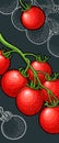 Branch, whole, half and slice tomato. Vector engraving