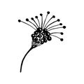 Branch of a wild flower with grains. Black and white simple hand drawn illustration.