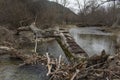 Branch of tree staying as a bridge grey sky Royalty Free Stock Photo