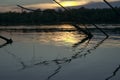 Branched snag on the river bank Royalty Free Stock Photo