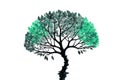 Branched tree with green leaves on white background Royalty Free Stock Photo