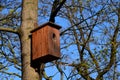 On a branched tree is a wooden birdhouse attached to a tree in the color of burnt brown flame camouflage. Starlings nest in this g