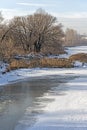 Branched trees on the Bank of the winter river Royalty Free Stock Photo