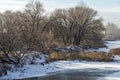 Branched trees on the Bank of the winter river Royalty Free Stock Photo