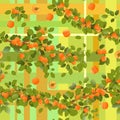 Branches apricot tree with ripe fruits. Background picture. Garden plant with edible harvest. Seamless pattern Royalty Free Stock Photo