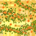 Branches apricot tree with ripe fruits. Yellow background picture. Garden plant with edible harvest. Seamless pattern Royalty Free Stock Photo