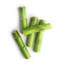 Branches of bamboo isolated Royalty Free Stock Photo