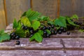 Branches with beautiful, delicious blackcurrant berries on the table