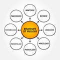 Branches of biology mind map text concept for presentations and reports Royalty Free Stock Photo