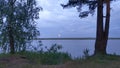 Branches of birch and pine trees overhang the lake. The full moon has risen over the forest growing on the far shore. Reeds grow i Royalty Free Stock Photo