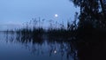 The branches of a birch tree overhang the lake. The full moon has risen over the forest growing on the far shore. Reeds grow in th Royalty Free Stock Photo