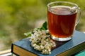 Branches of blooming bird cherry tree and a glass cup with tea on a stack of books by the window. Close up Royalty Free Stock Photo