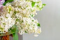 Branches of blooming white lilacs arranged in a bouquet Royalty Free Stock Photo